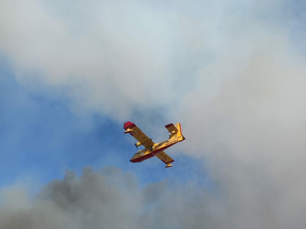 Inferno di fuoco a Torre Mozza